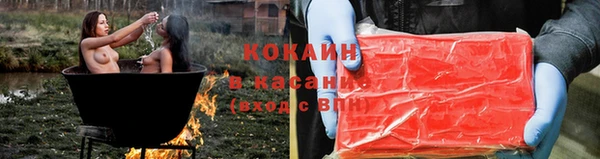 ПСИЛОЦИБИНОВЫЕ ГРИБЫ Нея