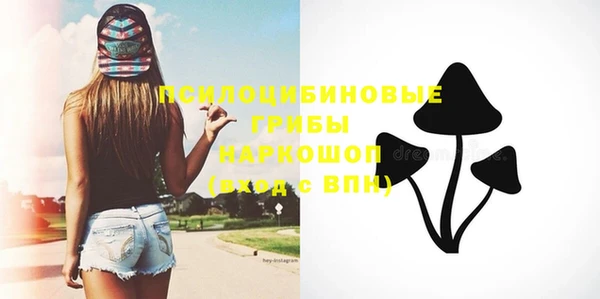 ПСИЛОЦИБИНОВЫЕ ГРИБЫ Нея