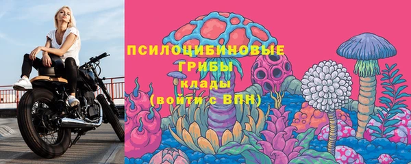 ПСИЛОЦИБИНОВЫЕ ГРИБЫ Нея