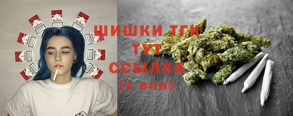 эйфоретик Новодвинск