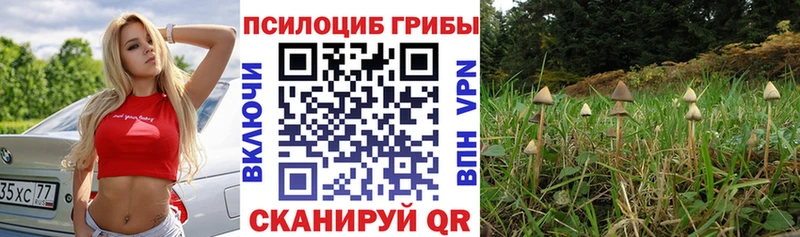 кракен рабочий сайт  Биробиджан  Псилоцибиновые грибы мицелий  где купить наркоту 