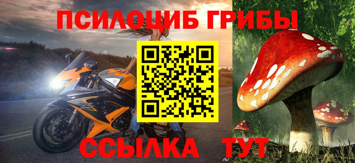 Галлюциногенные грибы Psilocybine cubensis  Вход с VPN  Биробиджан  Галлюциногенные грибы прущие грибы 