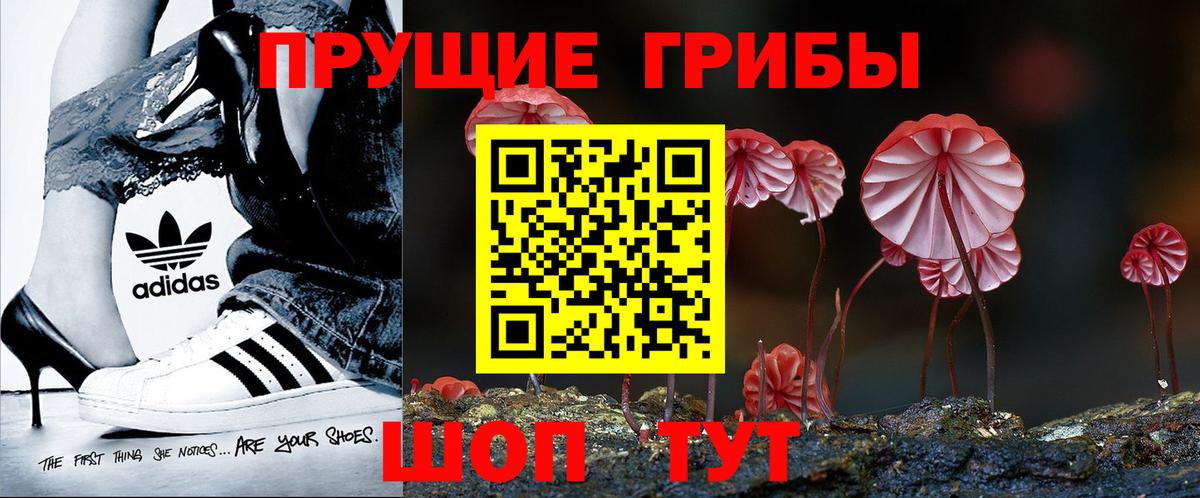 Галлюциногенные грибы GOLDEN TEACHER Биробиджан