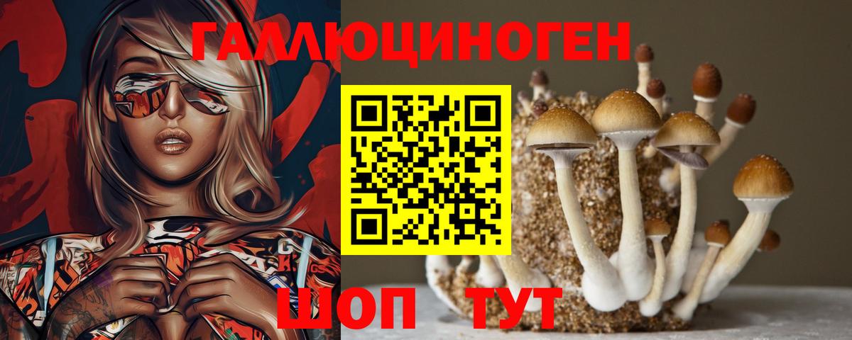 Галлюциногенные грибы Psilocybine cubensis  Галлюциногенные грибы Psilocybe  Биробиджан 
