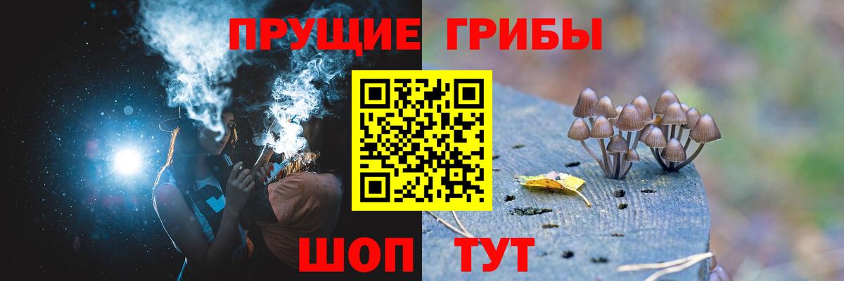 Псилоцибиновые грибы мицелий Биробиджан